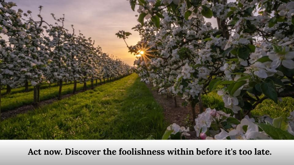 Act now. Discover the foolishness within before it's too late.