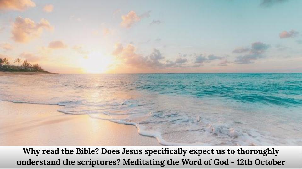 Does Jesus specifically expect us to thoroughly understand the scriptures?
