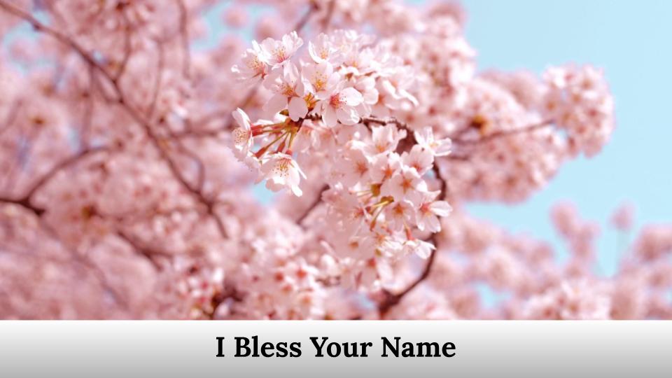I Bless Your Name