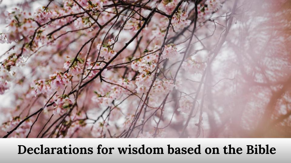 Declarations for wisdom based on the Bible.