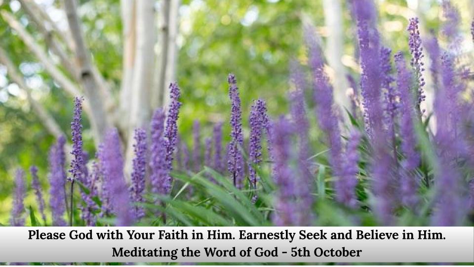Earnestly seek and believe in Him