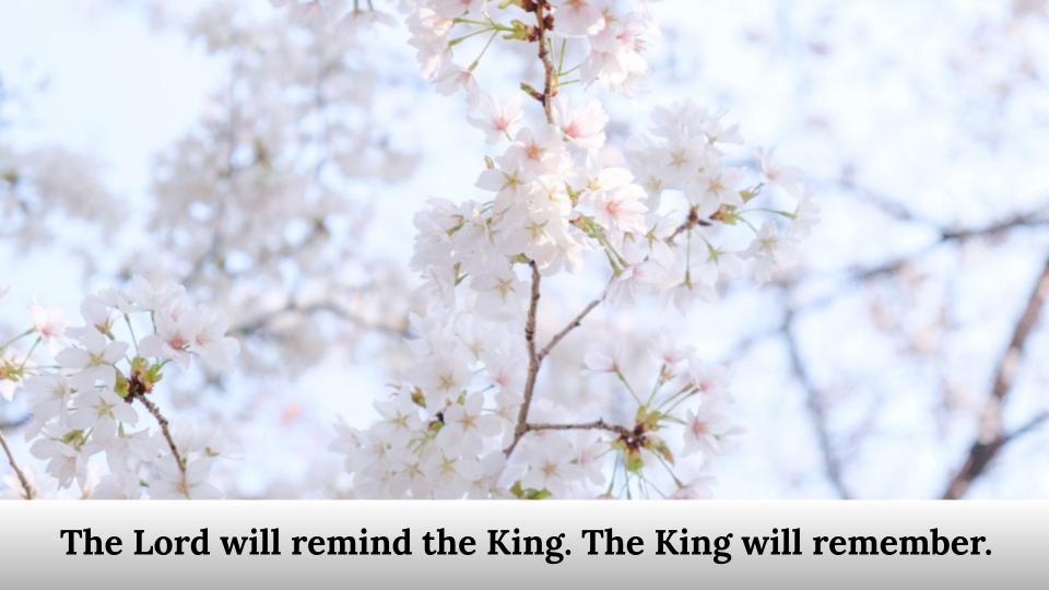 The Lord will remind the King.