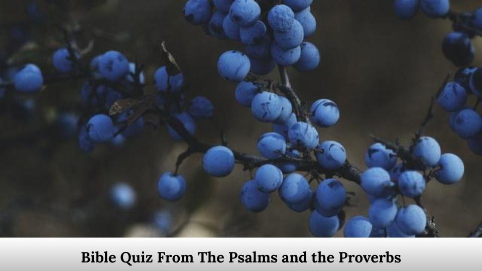 Bible Quiz From The Psalms and the Proverbs