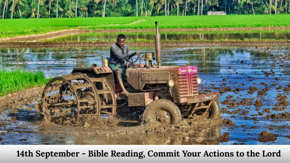 Bible Reading, Commit Your Actions to the Lord