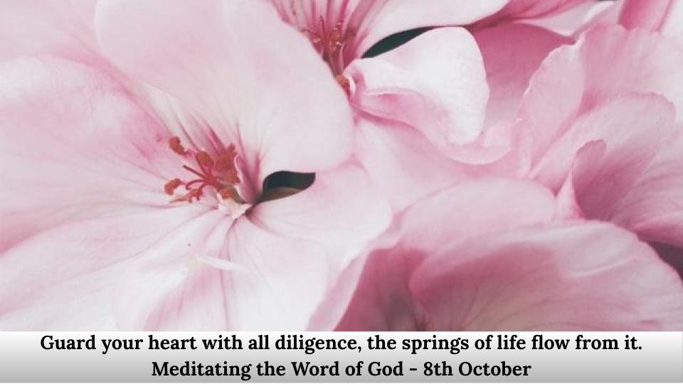 Guard your heart with all diligence, the springs of life flow from it.