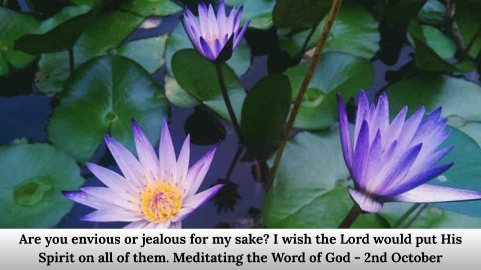 Are you envious or jealous for my sake?