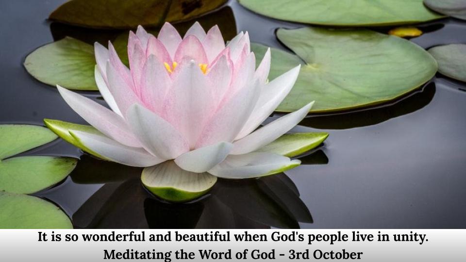 when God's people live in unity