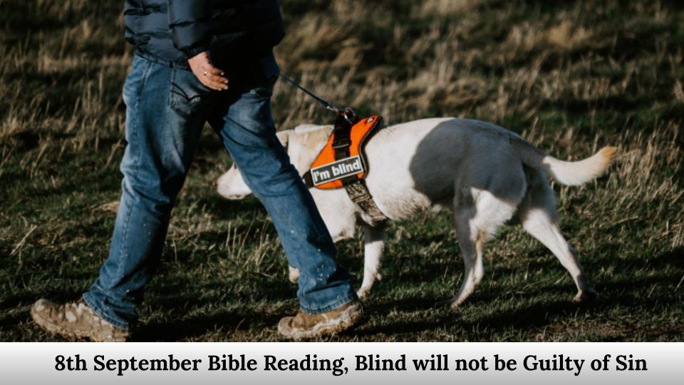 Bible Reading, blind will not be guilty of sin