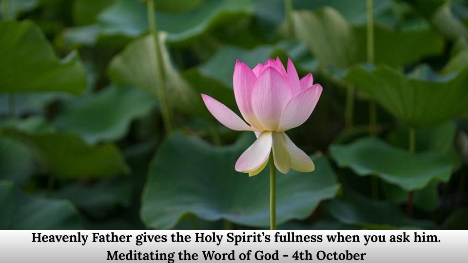 Holy Spirit’s fullness