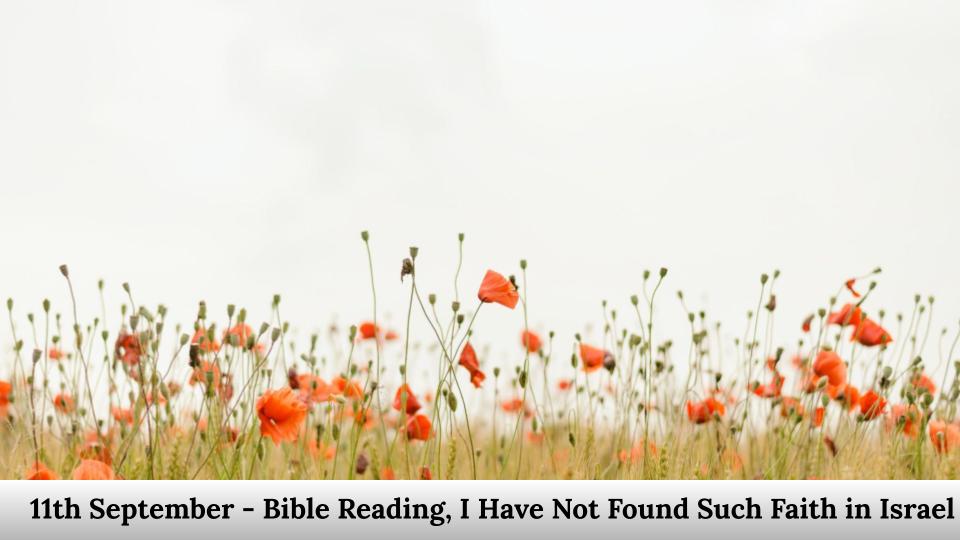 Bible Reading, I have not found such faith in Israel