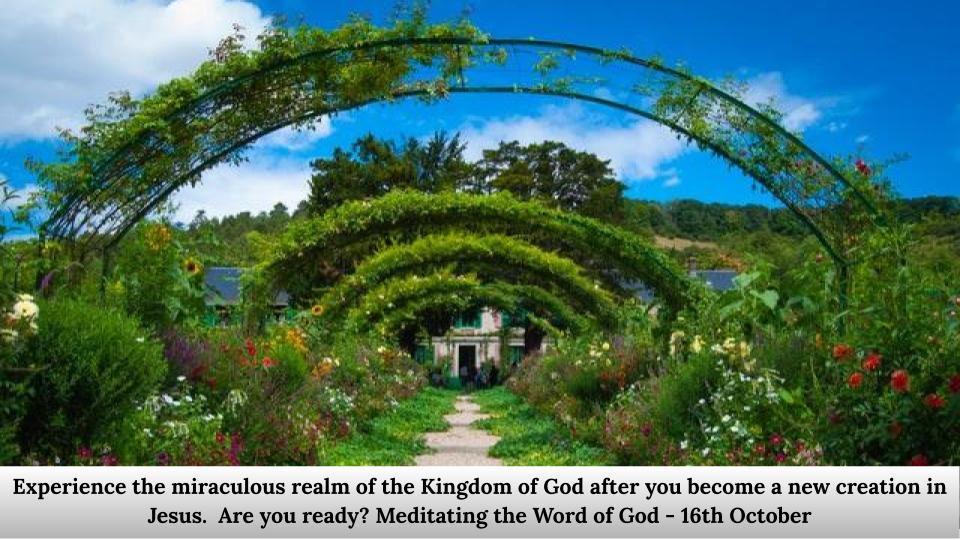 Experience the miraculous realm of the Kingdom of God 