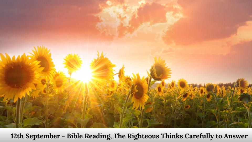 Bible Reading, the righteous thinks carefully to answer