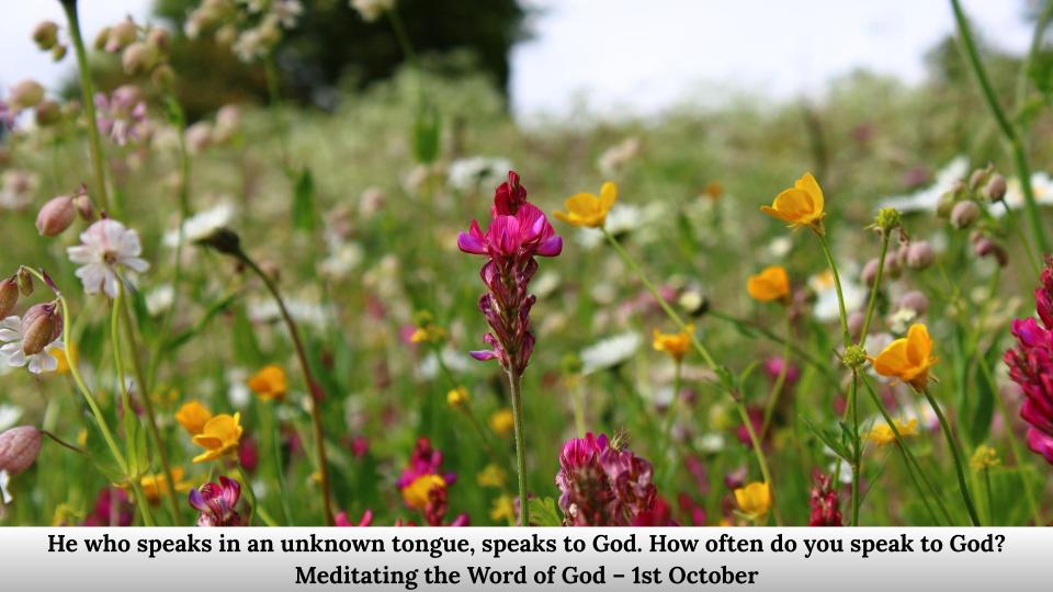 Meditating the Word of God