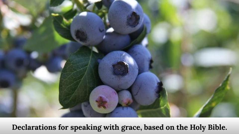 Declarations for speaking with grace, based on the Holy Bible.