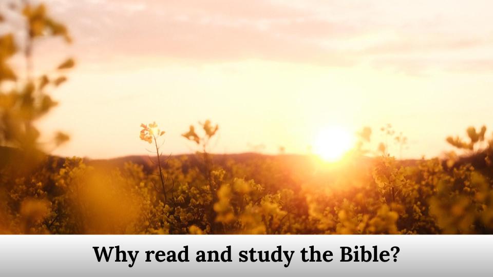 Why read and study the Bible?