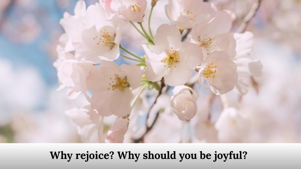 Why rejoice? Why should you be joyful?